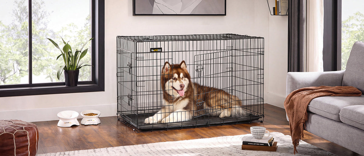 Jaula para perros